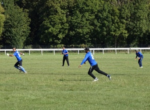 Kunstrasenteppich für Cricketpitch SC Naumburg e.V