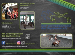 Ein Voltigierpferd für unseren Verein