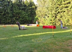 Doppelstabmattenzaun Hundefreunde