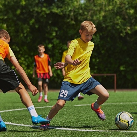 Unser Multifunktionsplatz braucht einen neuen Ballfangzaun