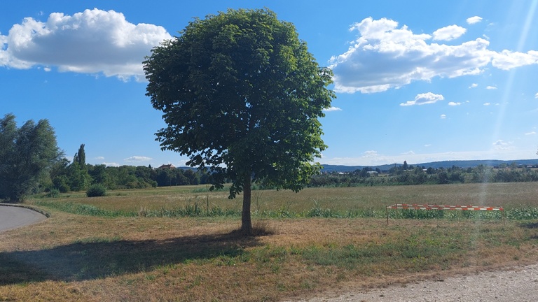 Vereinsgarten für die Kindergruppe