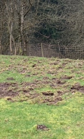 Erneuerung und Erweiterung der Einfriedung des Platzes