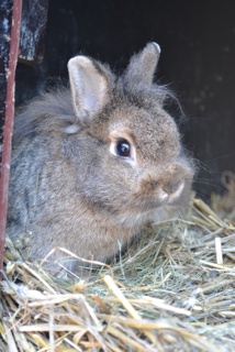 Tierpatenschaft für ein Jahr & Überraschung aus unserem Aktionsangebot