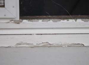 Austausch maroder Fenster am Hundehaus
