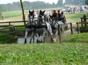 Für Pferd & Reiter - beste Bedingungen!