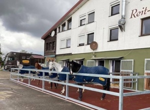 Ebbe-Flut-Reitplatz Reit- und Fahrverein Buchen (Training und Turnier)