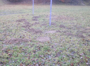 Sanierung und Pflege vom Sportplatz in Gresgen