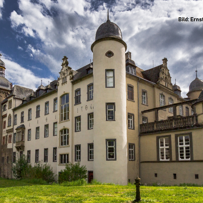 Die Dächer von Burg Namedy