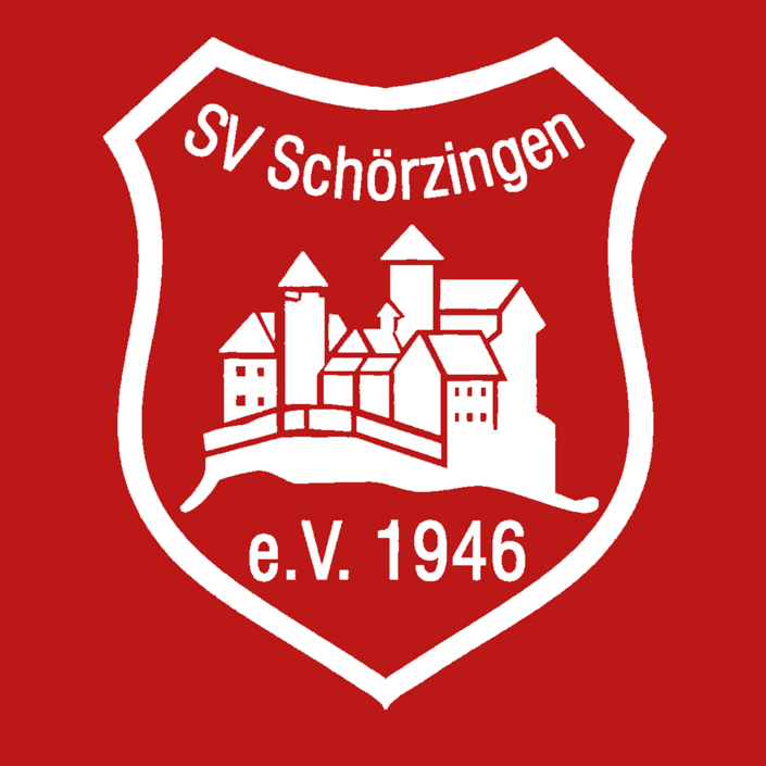 Optimierung der Beleuchtung & Akustik im Sportheim