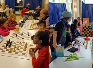 Spielmaterial für Jugendarbeit und Mannschaftskämpfe der Schachfreunde