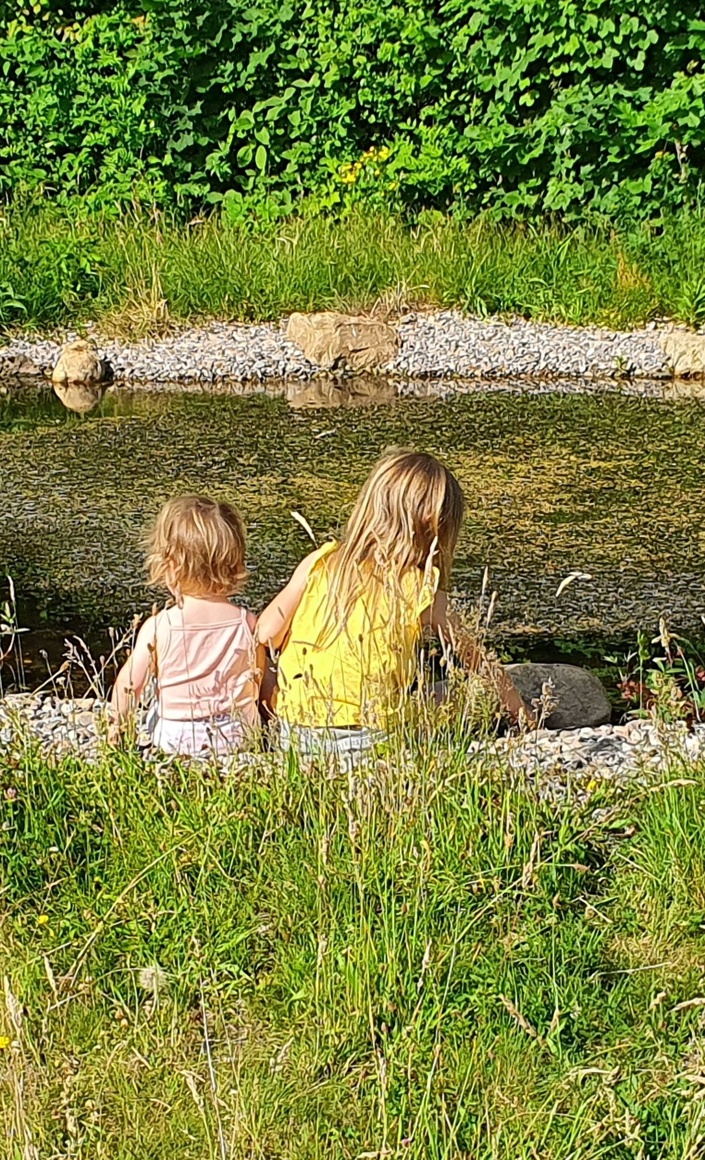 FÖJ-Stelle an der Modellschule Obersberg