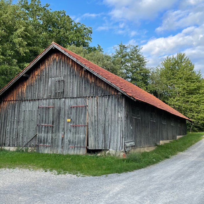 Sanierung Schafstall