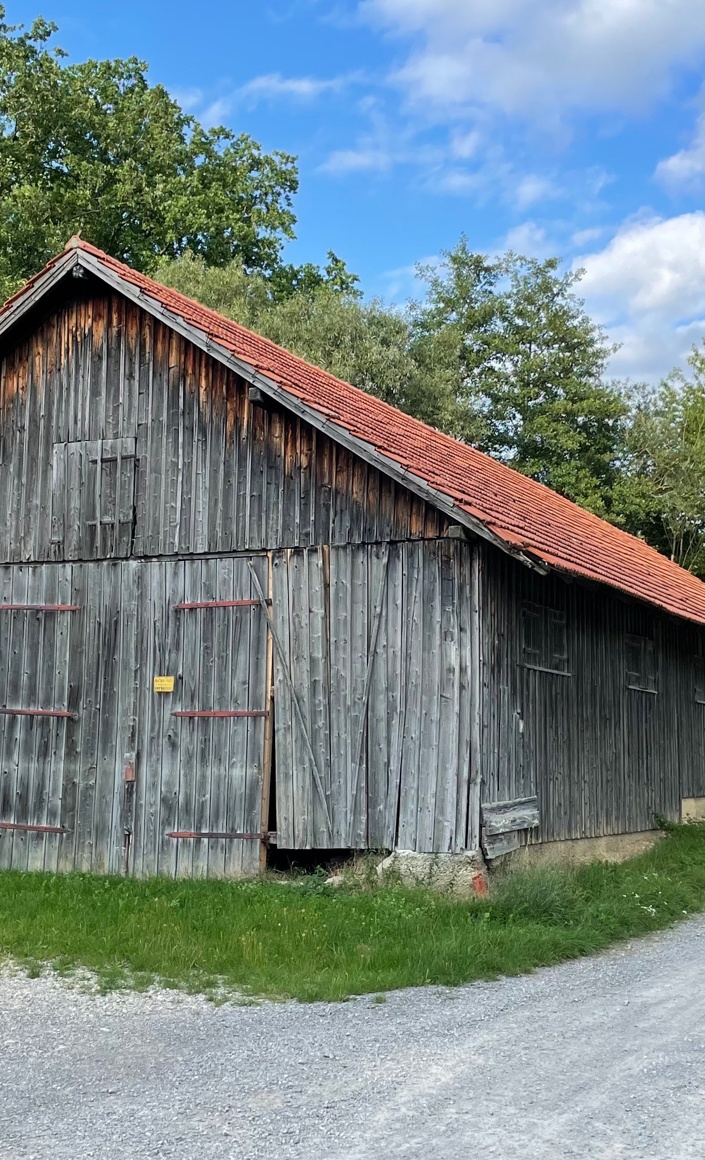 Sanierung Schafstall