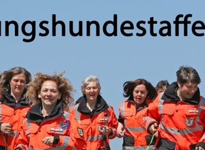 Video - Rettungshunde Anschaffung Ausrüstung Helme