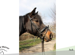Mehr Ponypower für unseren Schulbetrieb