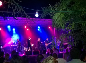 Sichere mit dem MV Scheibenhardt die Kultur im Ort