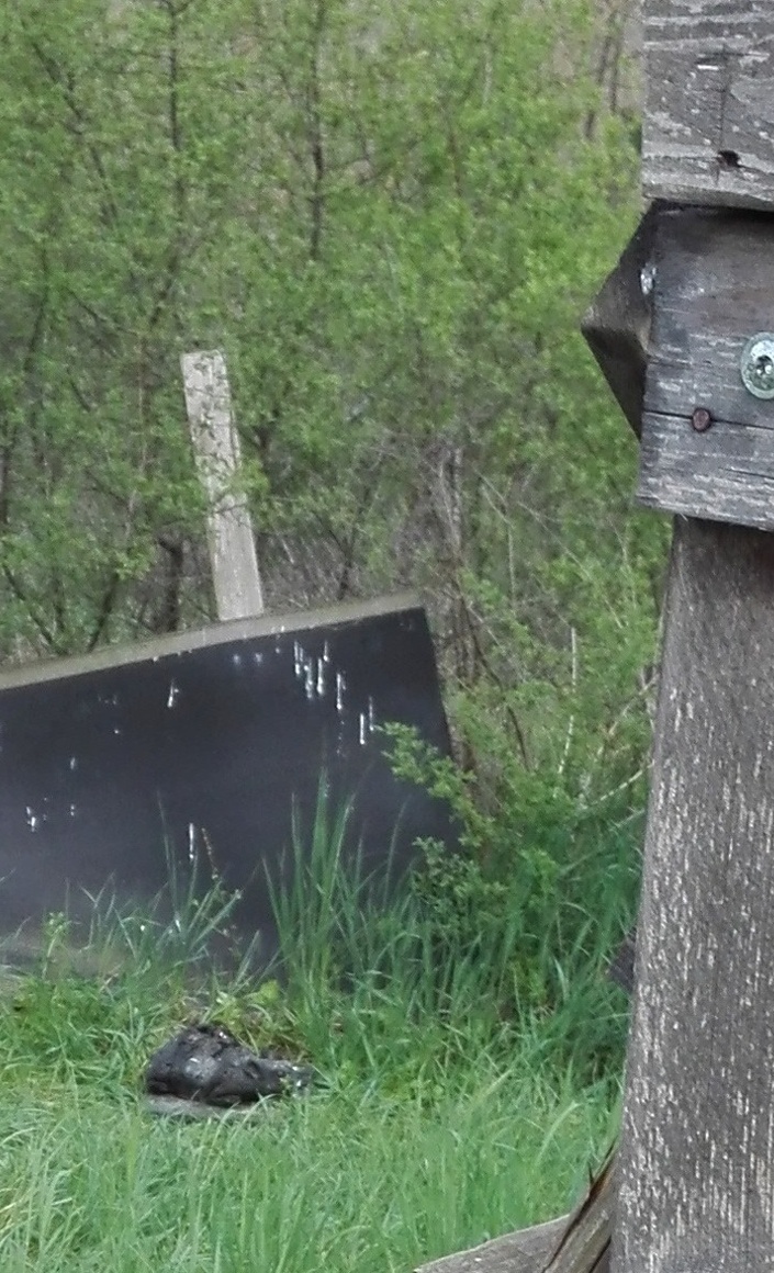 Erneuerung der Ziele auf dem 3D-Bogenparcours