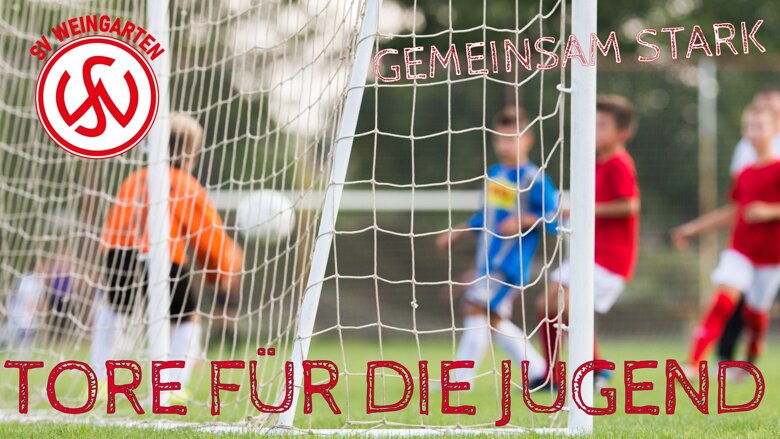 Große Ansicht vom Video