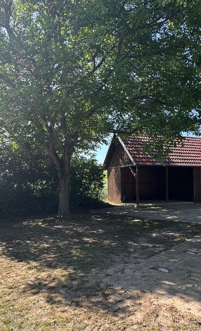 Renovierung Grillplatz Hesslar
