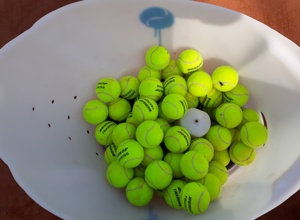 Ballmaschine Tennisabteilung Teuto Riesenbeck