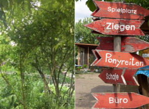 Unsere Farm soll schöner werden