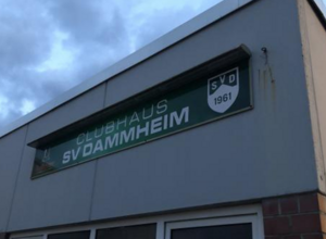 Die Zukunft des SVD gemeinsam gestalten