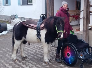 Video - Mit dem Lift aufs Pferd