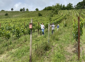 Weinwald Begegnungsort