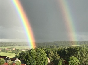 Co-Finanzierung PV-Anlage: Feldsonne goes Solarstrom