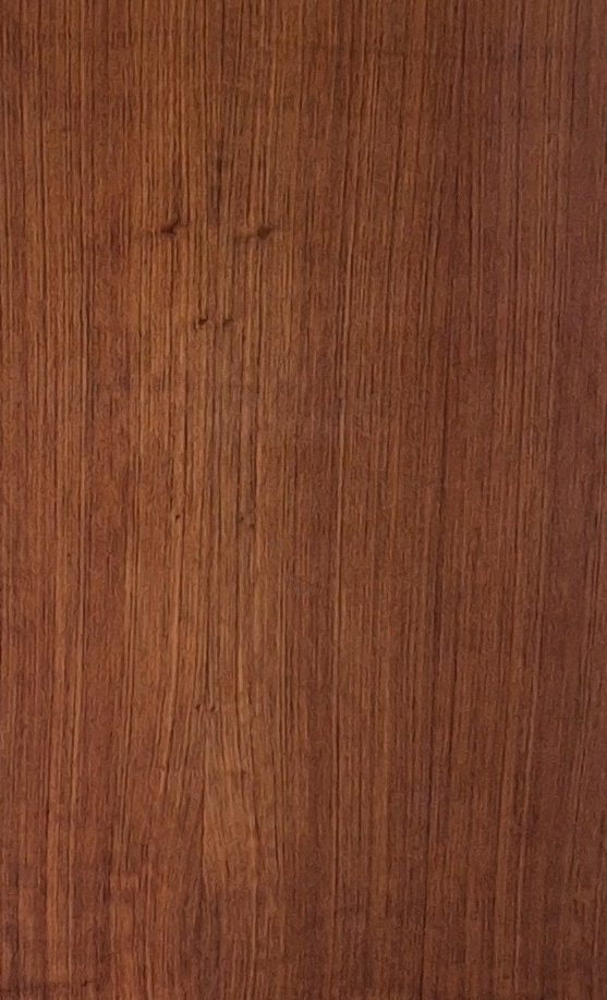 Austausch der Türblätter im Altbau des Sportheims