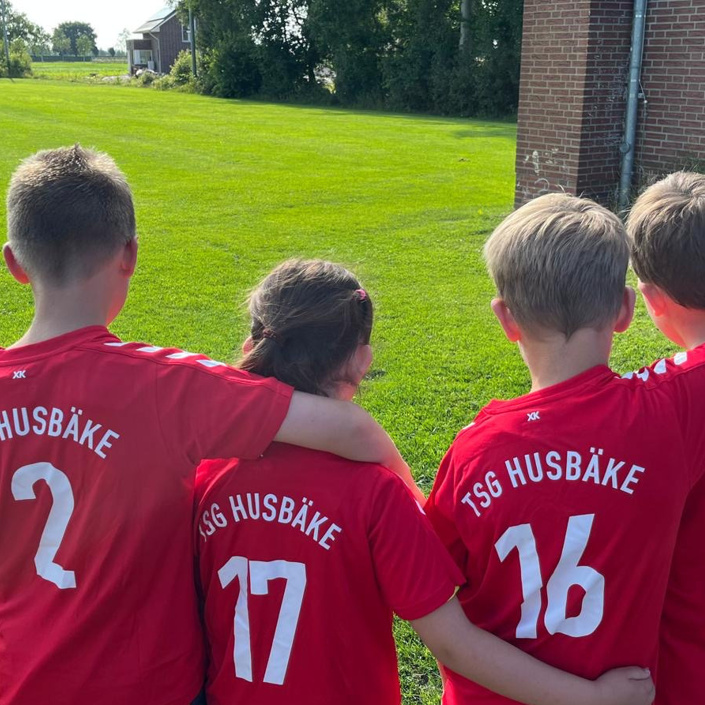 Ballfangzaun für die TSG Husbäke
