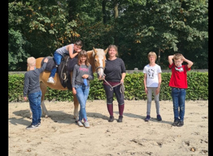 Neues Therapie - und Schulpferd