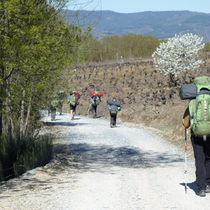 Wandern auf Jakobsweg