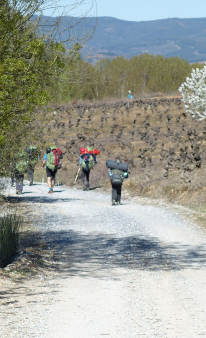 Wandern auf Jakobsweg