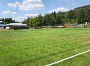 Aus Alt mach Neu - Rasenmäher für den FC Bödigheim