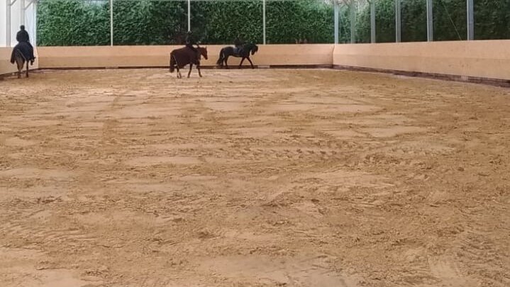 Große Ansicht vom Video