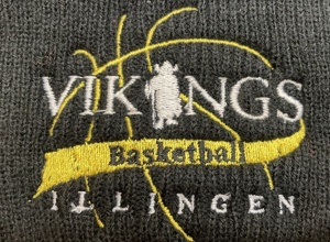 Erlebnisfahrt Basketball in Wien
