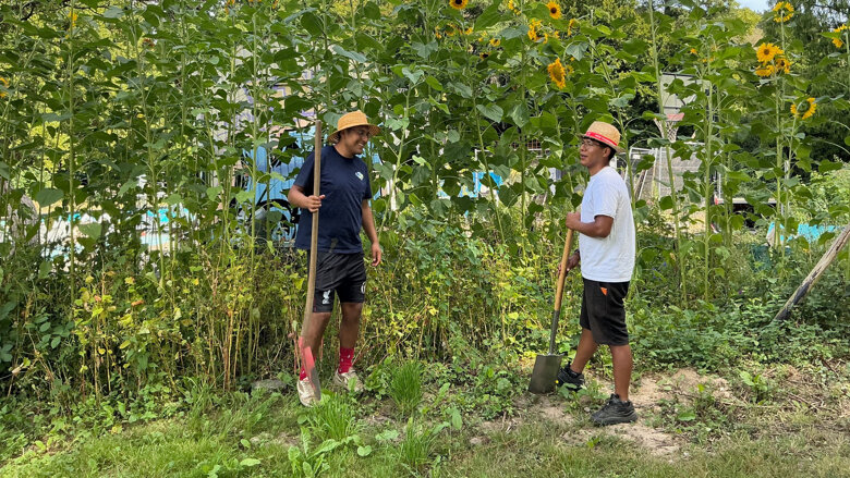 Große Ansicht vom Video