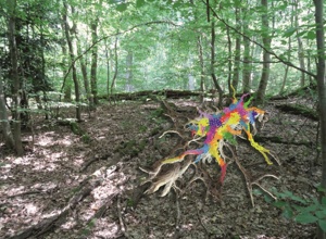 Waldkunst für ALLE - 5 neue Werke auf dem Waldkunstpfad Darmstadt