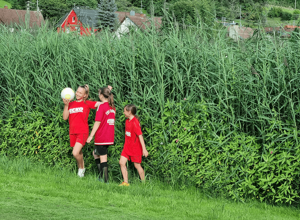 Ballfangzaun Hauptspielfeld Riedsportplatz
