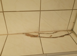 Das Geld muss flies(s)en - Sanierung WC-Anlagen Hubertussaal Straberg