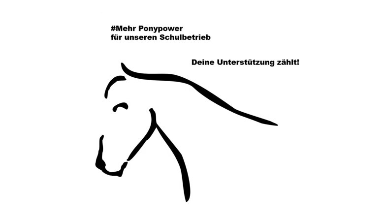 Große Ansicht vom Video