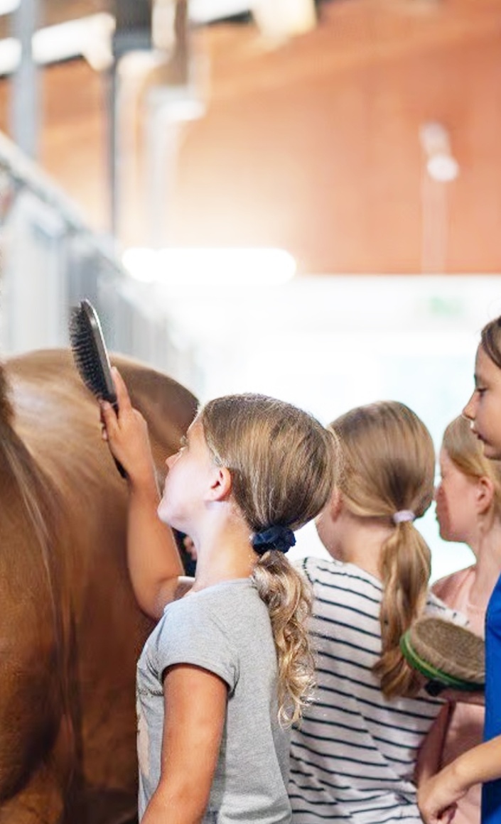 Neues Schulpferd für den RZFV Ahaus