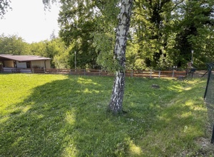 Renovierung Vereinsgelände Hundesportverein Huchenfeld e.V.