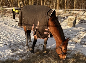 Mehr Sicherheit für Mensch & Tier in unserer Stallgemeinschaft