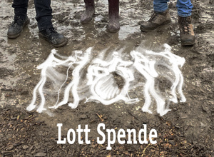 Dem Lott-Festival 2023 fehlen 3.000 zahlende Besucher