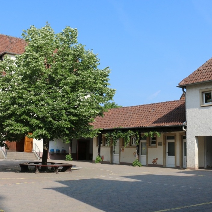 Schulhoferneuerung