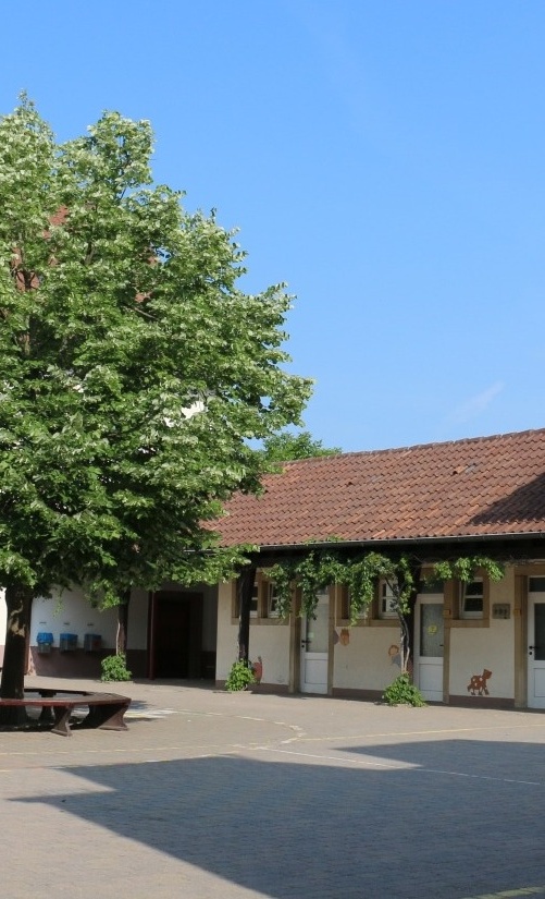 Schulhoferneuerung