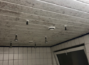 Neubau und Umgestaltung Umkleideräume TVK