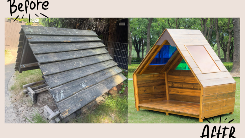 Große Ansicht vom Video